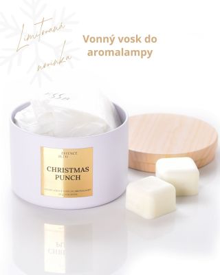 Vánoční punč v kostce 🎄✨ 11 malých voskových kostiček, které dokáží vykouzlit velkou atmosféru. Stačí vložit do...